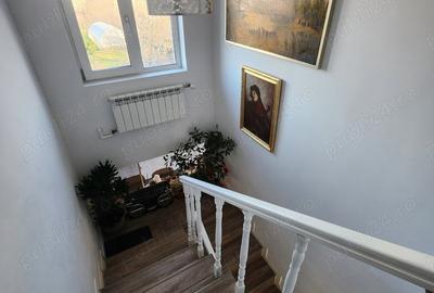 Casă cu 6 camere cu Teren 3000 Mp în Cataloi - 10