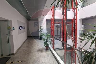 Birou, de 182 mp, în Central - 11