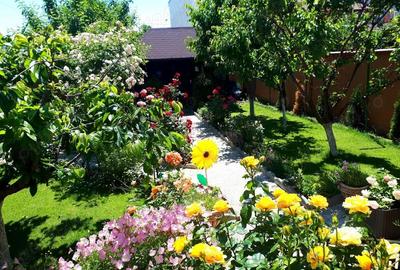 Casă cu 7 camere cu Teren 324 Mp în Central - 3