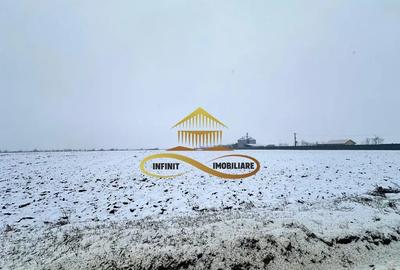 Teren de 4579 mp, în Schineni (Săucești) - 1