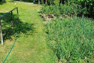 Casa in Sacele cu teren de 814 mp - 3