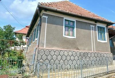 Casă cu 3 camere cu Teren 4022 Mp în Dumbrava (Unirea) - 1