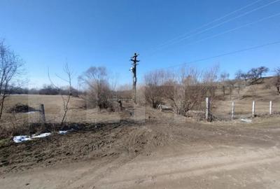 Teren de 2500 mp, în Central - 2