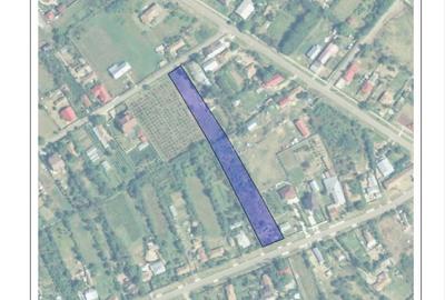 Teren Construcții intravilan de 3335 mp, în Cătrunești - 1