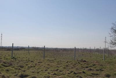 Teren de 500 mp, în Viile Noi - 2