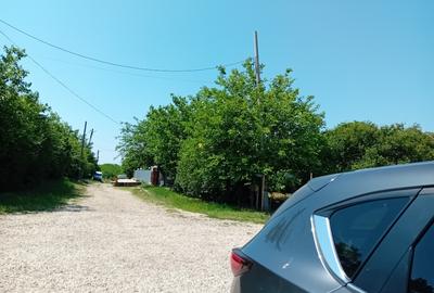 Teren agricol intravilan de 5800 mp, în Valter Mărăcineanu - 2