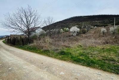 Teren de 6042 mp, în Berzasca - 2