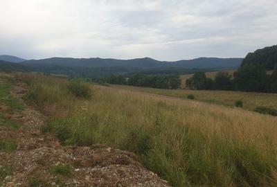 Teren de 1350 mp, în Vlădeni - 10