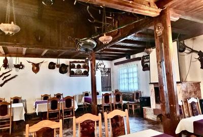 Casă cu 5 camere cu Teren 4500 Mp în Schitu Duca - 2