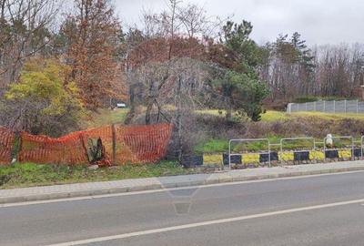 Oportunitate investi?ie B. Felix teren intravilan cu PUZ 1157 mp DN 76 - 1