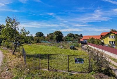 Teren Construcții intravilan de 1430 mp, în Cărpiniș - 9
