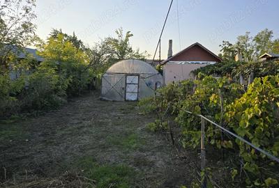 Casa la tara in Jud. Buzau - 2