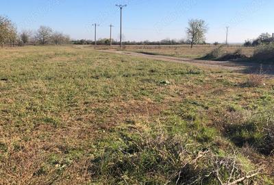 Teren de 2500 mp, în Gura Câlnăului - 2