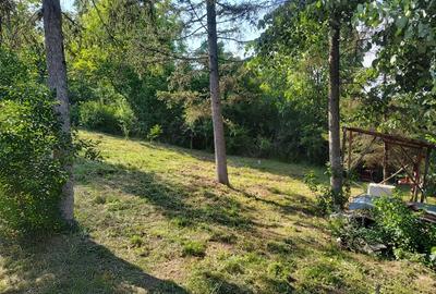 Casa batraneasca cu teren in sat Schitu Scoicesti, com Leordeni, Arge? - 4