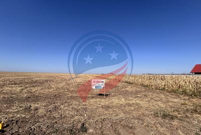 Teren Construcții intravilan de 10128 mp, în Pielești - 10