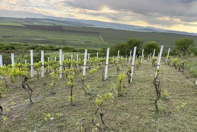 Spațiu comercial, în Drașov - 1