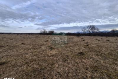 Teren de 679 mp, în Central