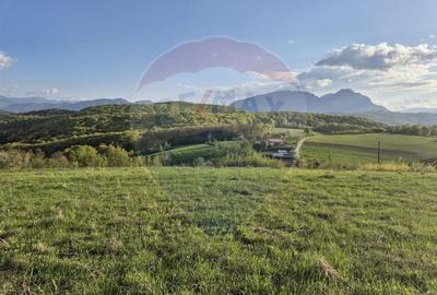 Comision 0 %/Teren intravilan 11.600mp Poiana Marului / Natura/Poveste - 20