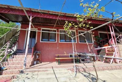 Casa cu teren generos, in mijlocul naturii Barza, Dane?ti - 4