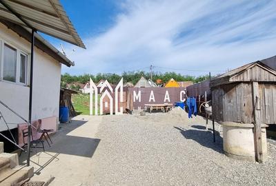 Black Friday Casă 2 Camere I Curte 900 mp I Anexe I Șura Mare - 1