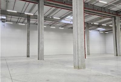 Spatiu Industrial - 6000 mp - Logistica - Productie - Depozitare - Distributie - 8