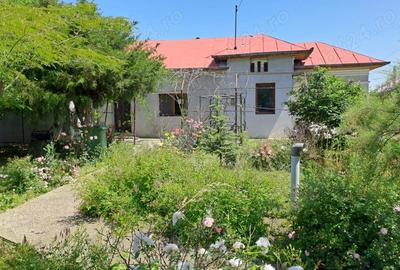 Casă cu 5 camere cu Teren 1375 Mp în Frumușani - 6