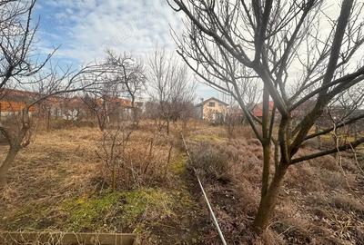 Vand casa cu teren - 2