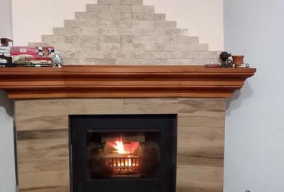 Casă cu 5 camere cu Teren 500 Mp în Titulescu - 3