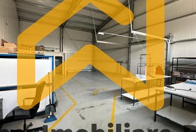 Spațiu industrial, de 550 mp, în Malu Roșu - 6