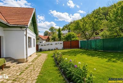 Casă cu 3 camere cu Teren 1741 Mp în Central