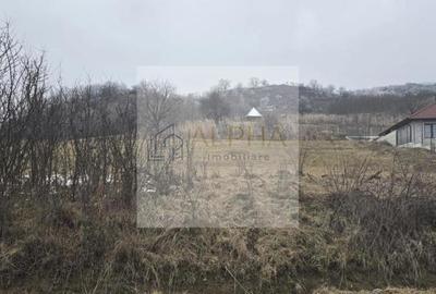 Teren de 45 mp, în Ghinda