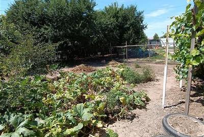 Casă cu 3 camere cu Teren 824 Mp în Cazasu - 10