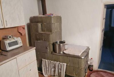 Casă cu 4 camere cu Teren 4000 Mp în Central - 3