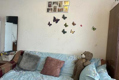 Garsonieră decomandată în Valea Rosie - 1