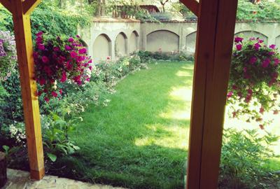 Floreasca / Casa Individuală cu 4 Apartamente - Birouri / Parcare + Curte / 2021 - 11