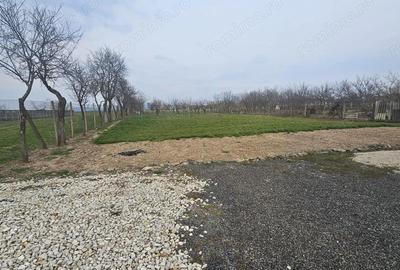 Casă cu Teren 1667 Mp în Alioș - 7