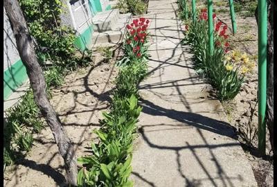 Casă cu 4 camere în Central - 1