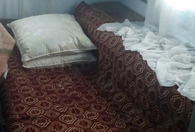 Vand casa taraneasca Brosteni,Bahna,Neamt Vand casa taraneasca Brosteni,Bahna,Neamt - 4