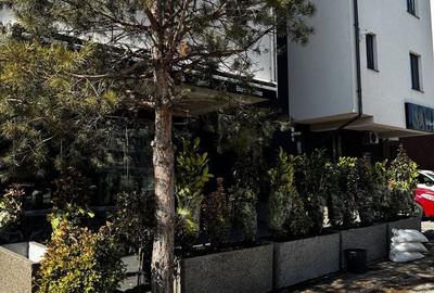 Spatiu Comercial + Terasa 23 August Otopeni Cafeanea Barbershop Birou - 11