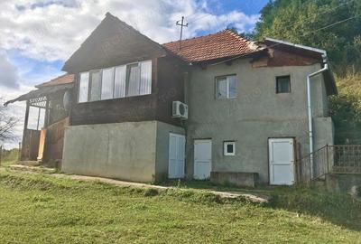 Casă cu Teren 2650 Mp în Căinelu de Sus - 3