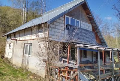 Casă cu 2 camere cu Teren 4000 Mp în Ursoaia - 3