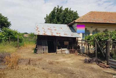 Casă în Apele Vii - 9