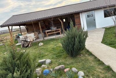 Casă cu 3 camere cu Teren 800 Mp în Coltău - 2