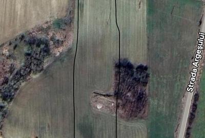 Spațiu comercial, în Crivăț - 3