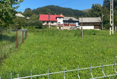 Teren de 11541 mp, în Buhalnița - 3