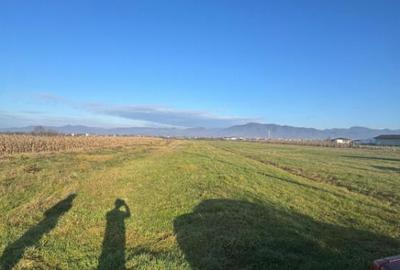 Teren de vanzare Mocira, jud. Maramure? 18 ari - 2