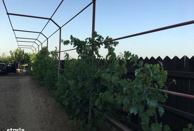 Casă cu 3 camere cu Teren 2263 Mp în Central - 10