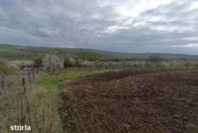 Teren de 2208 mp, în Comarna - 6