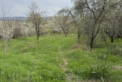 Spațiu comercial, în Gâlmeia - 1
