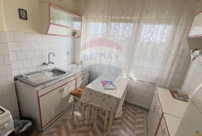 Apartament cu 3 camere semidecomandat, mobilat în Podgoria - 14